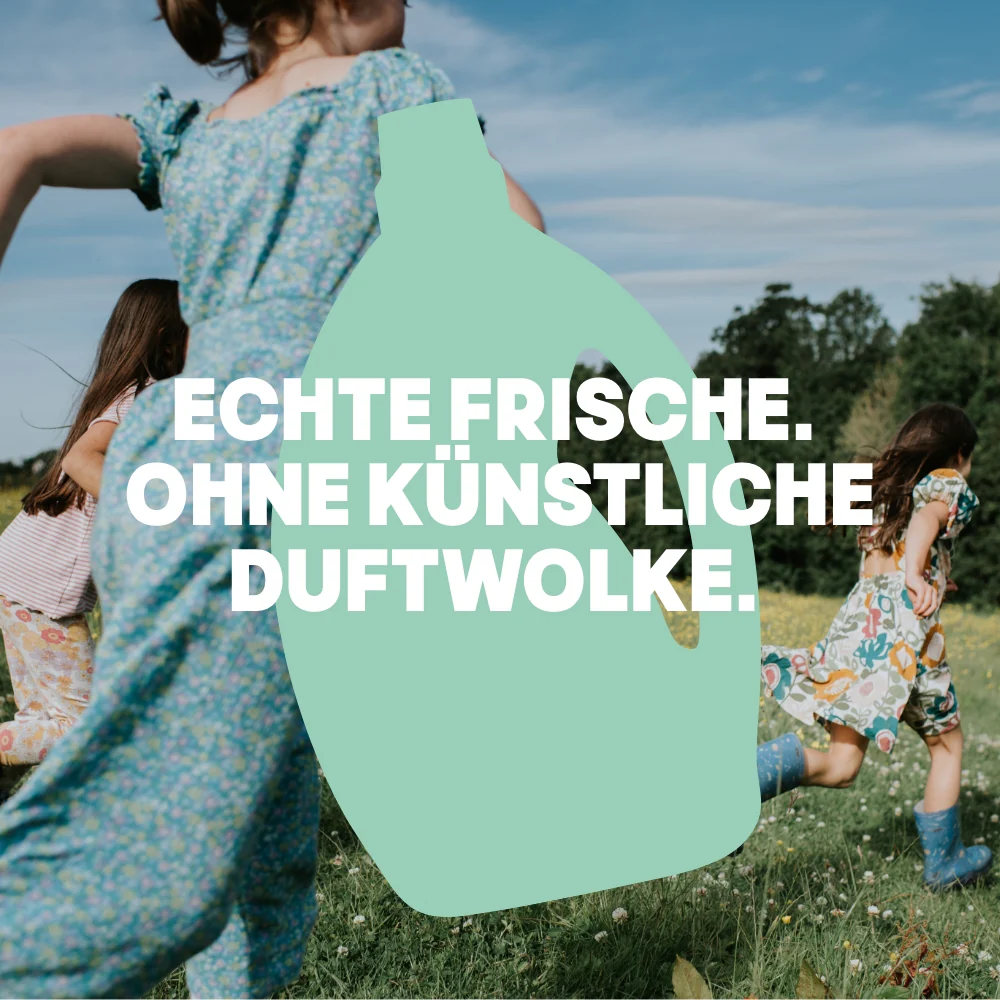 Colorwaschmittel 5L Nachfüllkanister, 100WL - Image 6