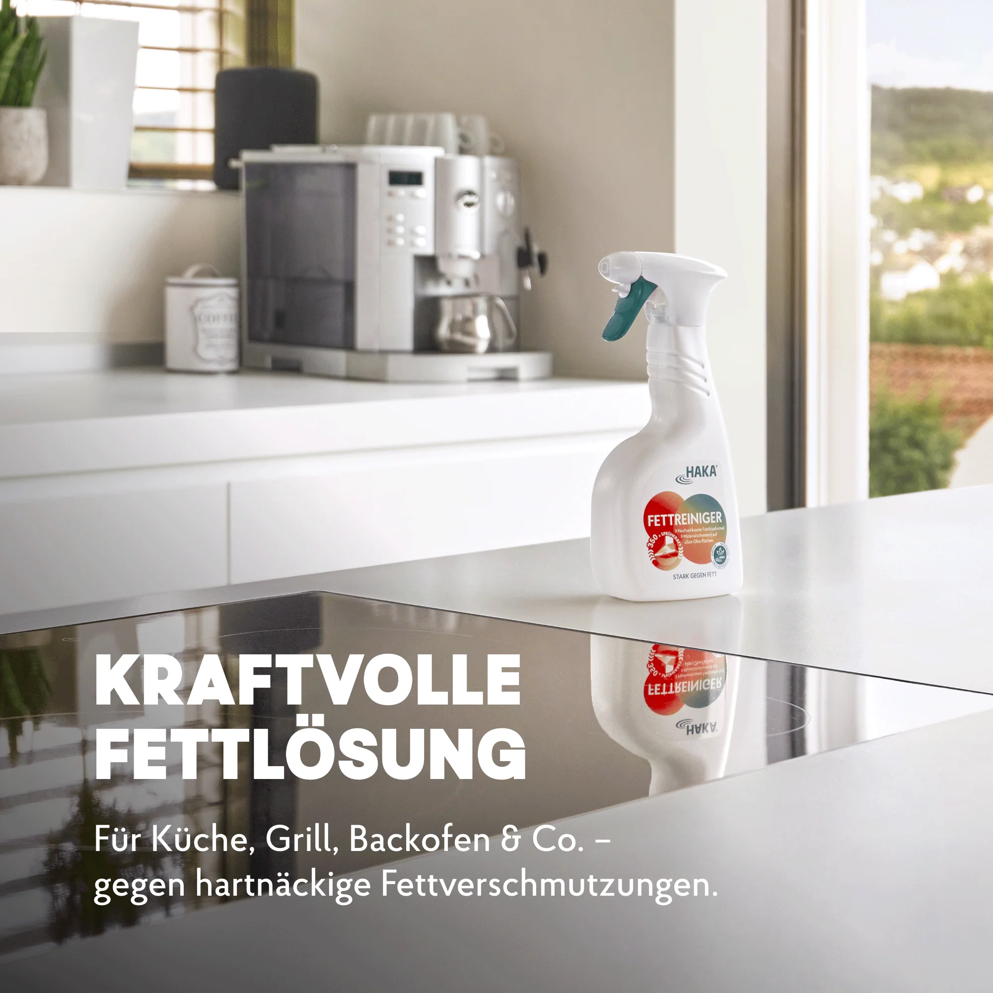Grillreiniger Set - Image 4
