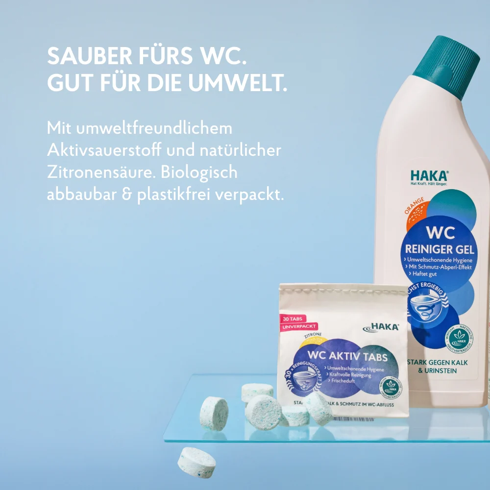 Bad & WC Tiefenreinigung - Image 6
